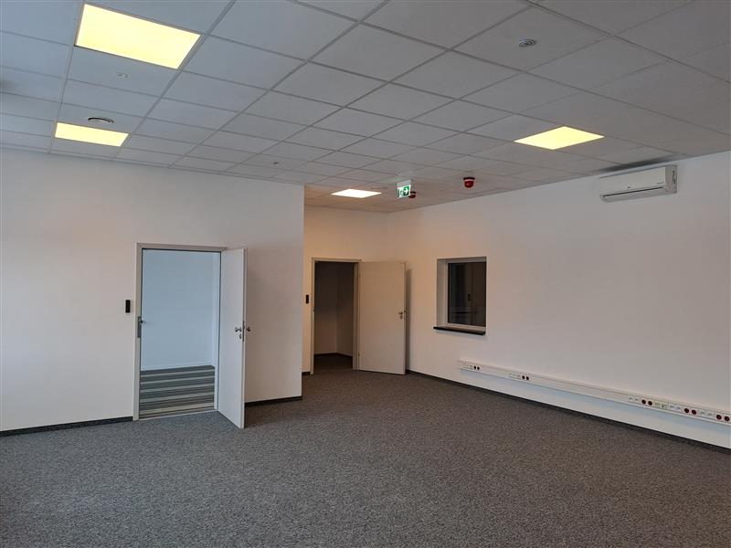 Magazyn do wynajęcia, 11795&nbsp;m², Gdańsk, Bysewska - zdjęcie 4