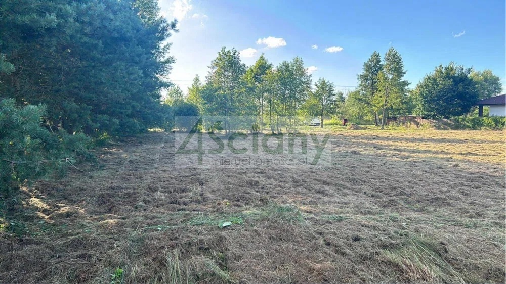 Działka rolna 2488&nbsp;m², Kąck - zdjęcie 2