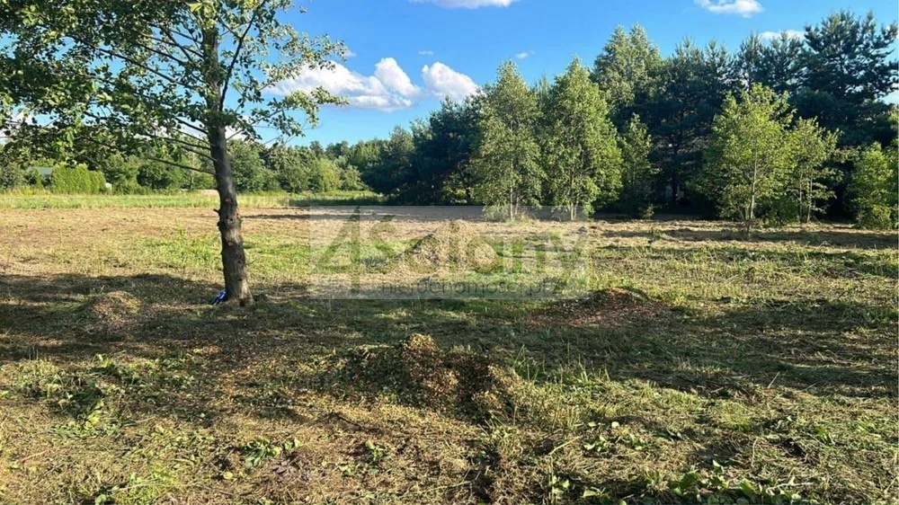 Działka rolna 2488&nbsp;m², Kąck - zdjęcie 3