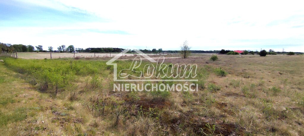 Działka rolna 697&nbsp;m², Lubczyna - zdjęcie 9