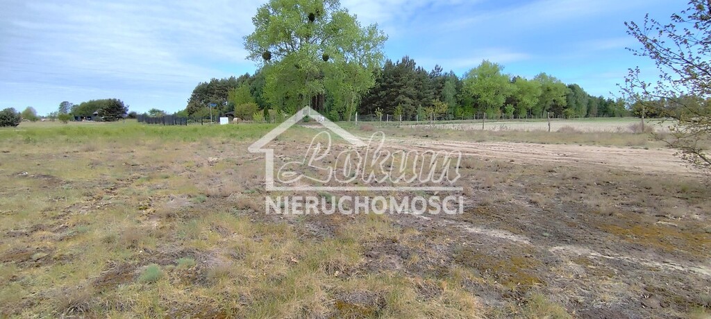 Działka rolna 697&nbsp;m², Lubczyna - zdjęcie 4