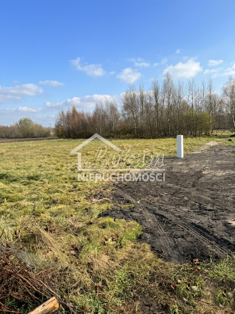 Działka rolna 3000 m², Krasnołęka - zdjęcie 3