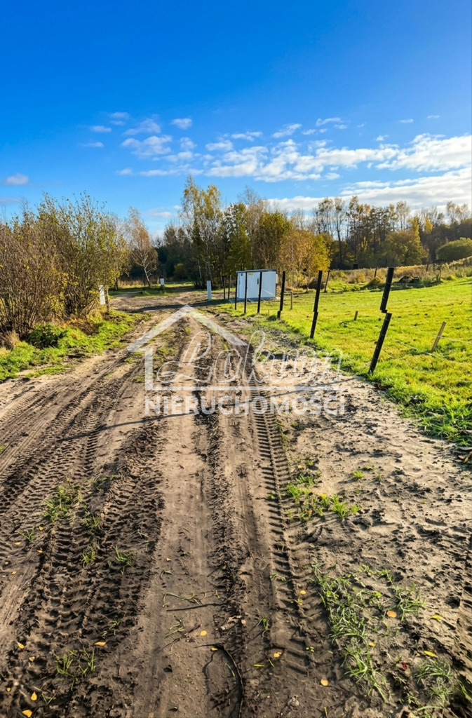 Działka rolna 3000 m², Krasnołęka - zdjęcie 2