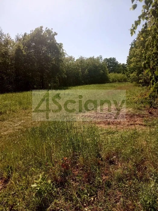 Działka budowlana 1674 m², Chrzanów Mały - zdjęcie 1