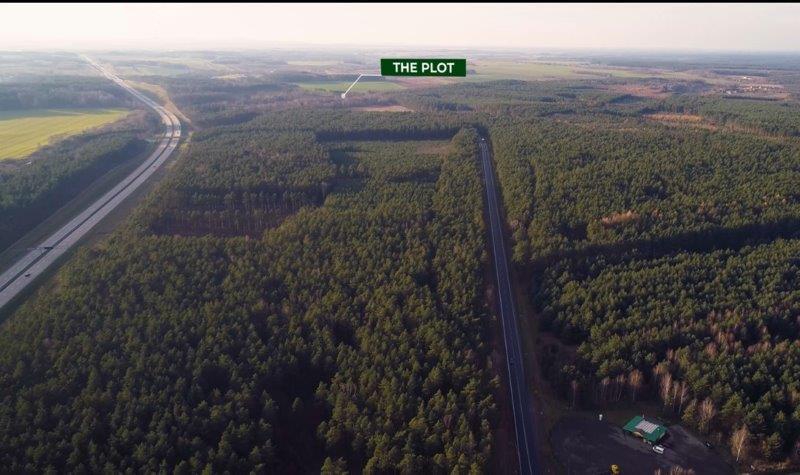 Działka inwestycyjna 9,81 ha, Strzelno, Zgorzelecka - zdjęcie 12