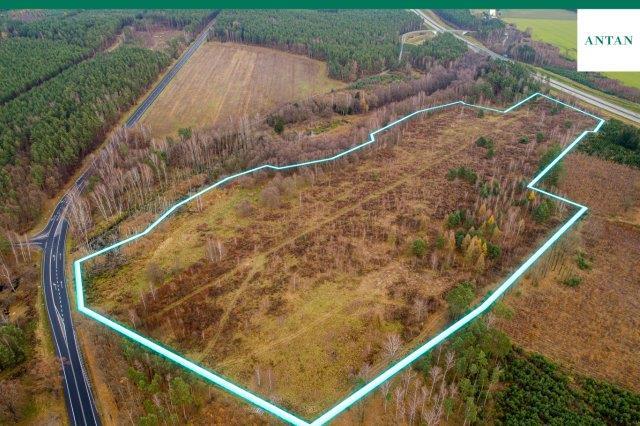 Działka inwestycyjna 9,81 ha, Strzelno, Zgorzelecka - zdjęcie 3