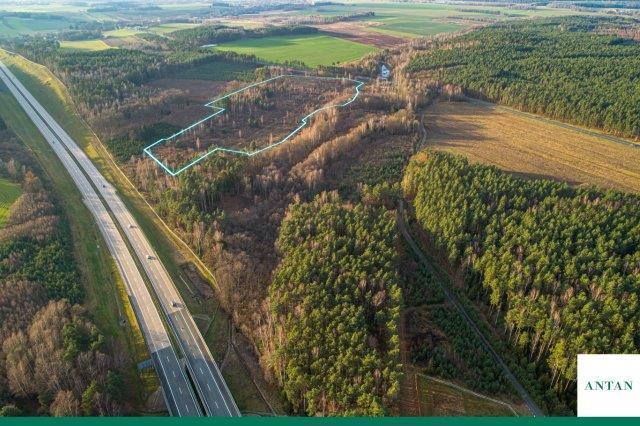 Działka inwestycyjna 9,81 ha, Strzelno, Zgorzelecka - zdjęcie 1