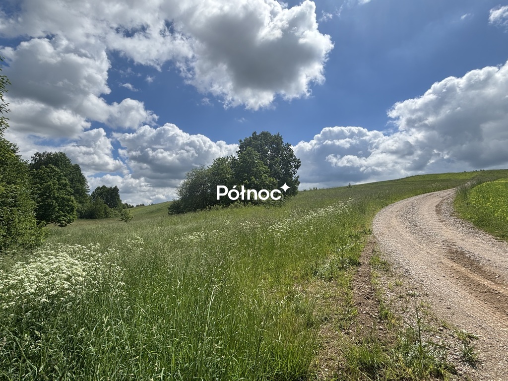 Działka rolna 1163&nbsp;m², Polimonie - zdjęcie 18