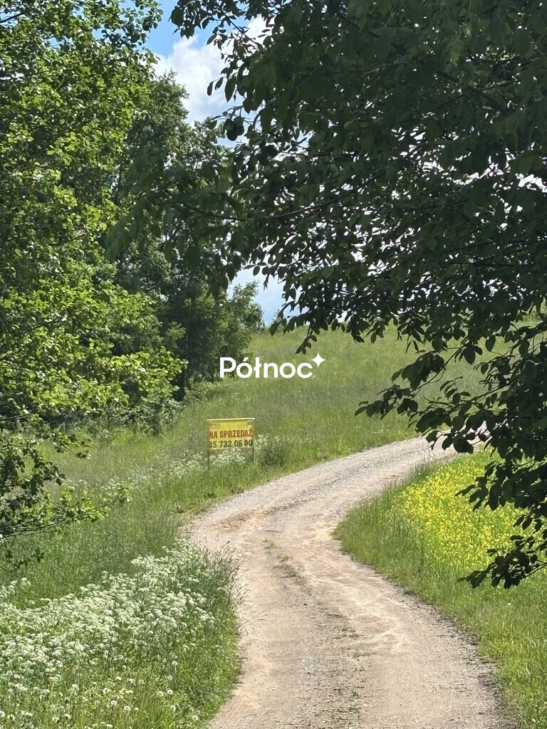 Działka rolna 1163&nbsp;m², Polimonie - zdjęcie 3