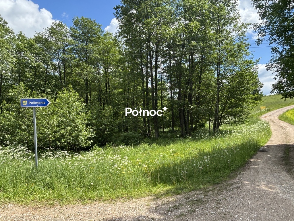 Działka rolna 1163&nbsp;m², Polimonie - zdjęcie 2