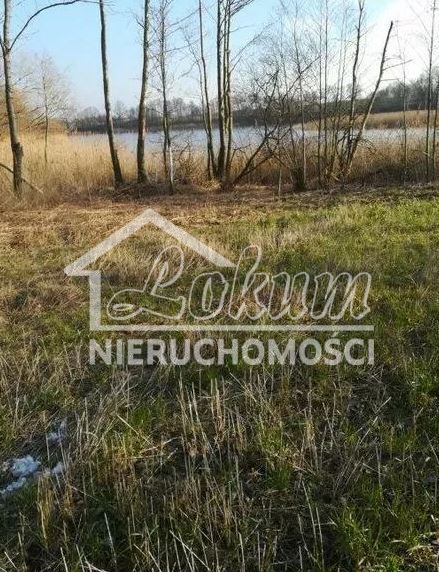 Działka rolna 3985&nbsp;m², Kaszewo - zdjęcie 2