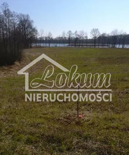 Działka rolna 3985&nbsp;m², Kaszewo - zdjęcie 5