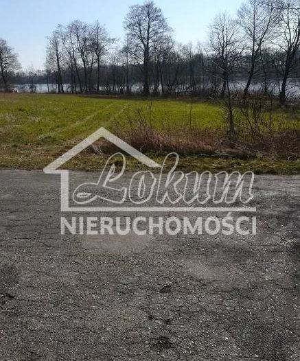 Działka rolna 3985&nbsp;m², Kaszewo - zdjęcie 7