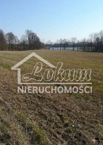 Działka rolna 3985&nbsp;m², Kaszewo - zdjęcie 3