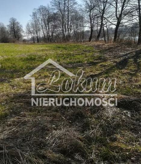 Działka rolna 3985&nbsp;m², Kaszewo - zdjęcie 6
