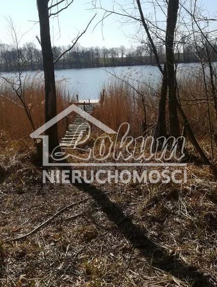 Działka rolna 3985&nbsp;m², Kaszewo - zdjęcie 1