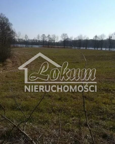 Działka rolna 3985&nbsp;m², Kaszewo - zdjęcie 4