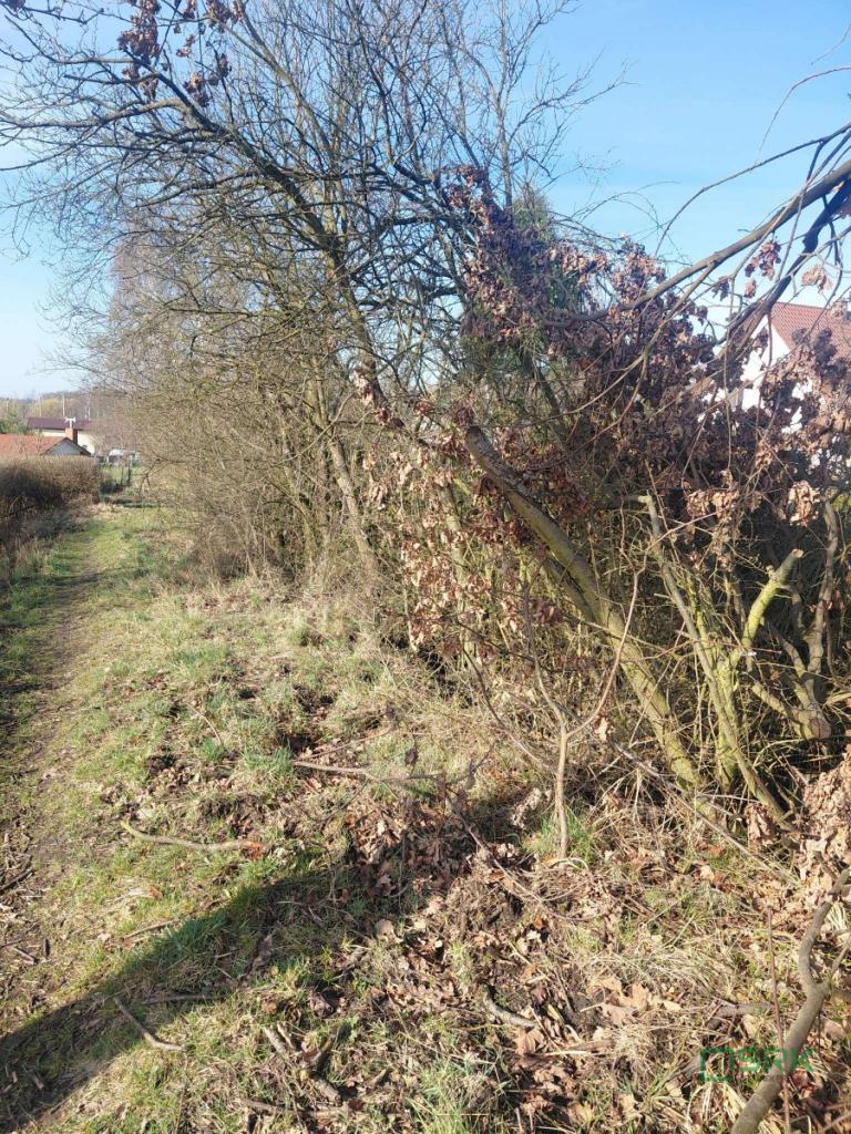 Działka inwestycyjna 386&nbsp;m², Katowice, Strzałowej / Kombajnistów - zdjęcie 2