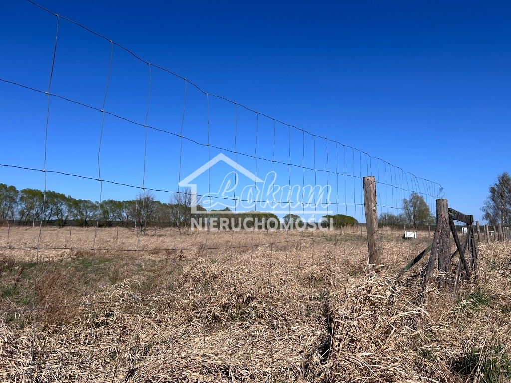 Działka budowlana 1066&nbsp;m², Dobra, Dereszowa - zdjęcie 5