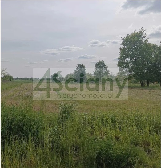 Działka budowlana 3000 m², Książenice - zdjęcie 1