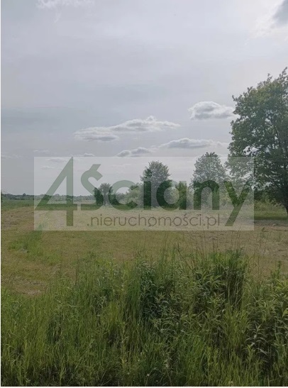 Działka budowlana 3000 m², Książenice - zdjęcie 2