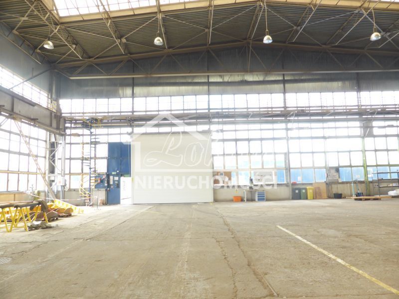 Magazyn do wynajęcia, 2727 m², Szczecin - zdjęcie 5
