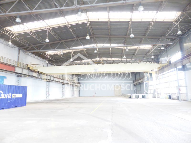 Magazyn do wynajęcia, 2727 m², Szczecin - zdjęcie 3