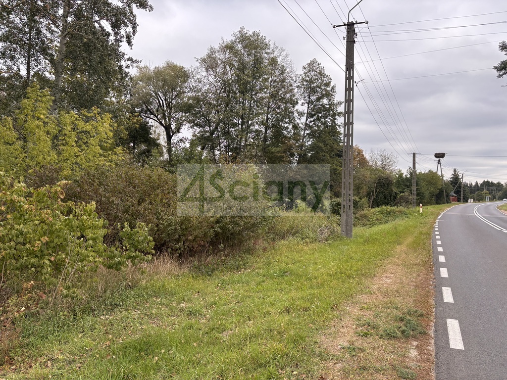 Działka budowlana 2100 m², Wilków Polski - zdjęcie 7
