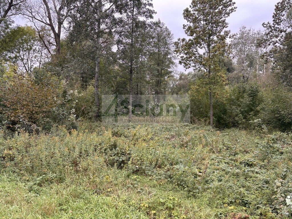 Działka budowlana 2100 m², Wilków Polski - zdjęcie 3