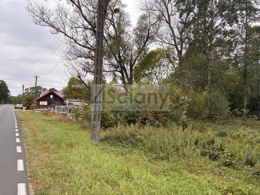 Działka budowlana 2100 m², Wilków Polski - zdjęcie 5