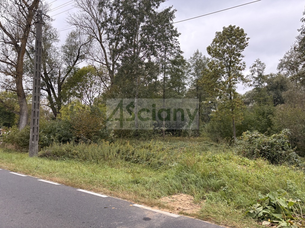 Działka budowlana 2100 m², Wilków Polski - zdjęcie 4