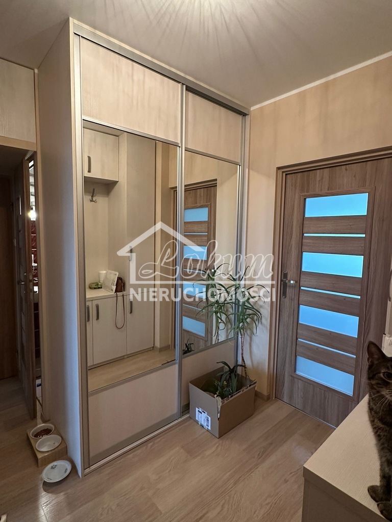 Mieszkanie 49,5&nbsp;m², Szczecin, Bukowe-Klęskowo, Seledynowa - zdjęcie 4