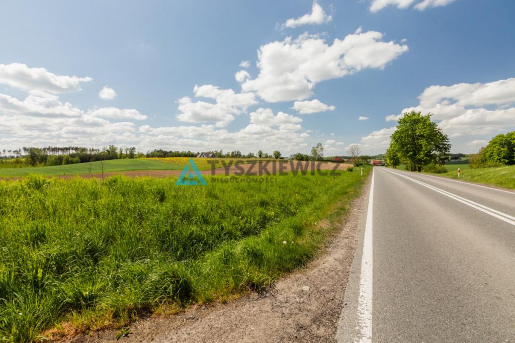 Działki pod zabudowę jednorodzinną - Półczno - zdjęcie 19