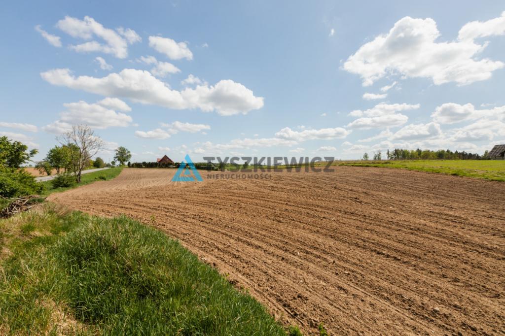 Działki pod zabudowę jednorodzinną - Półczno - zdjęcie 21