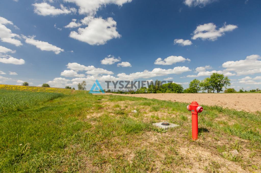 Działki pod zabudowę jednorodzinną - Półczno - zdjęcie 16