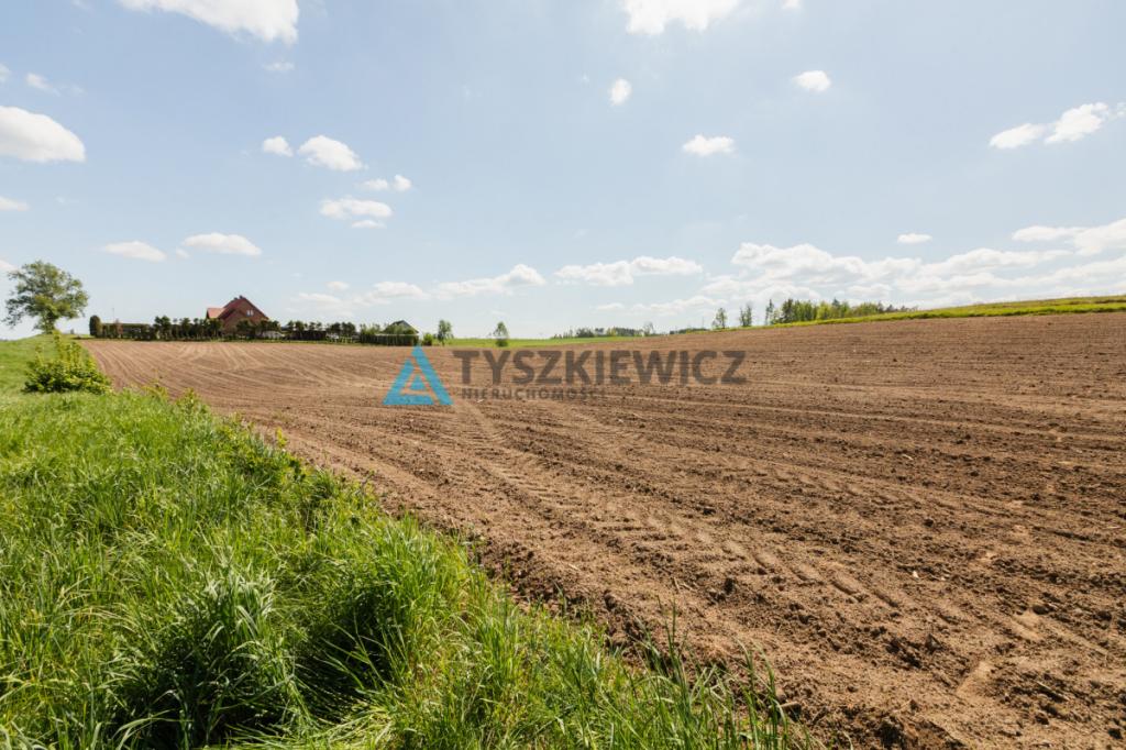 Działki pod zabudowę jednorodzinną - Półczno - zdjęcie 12