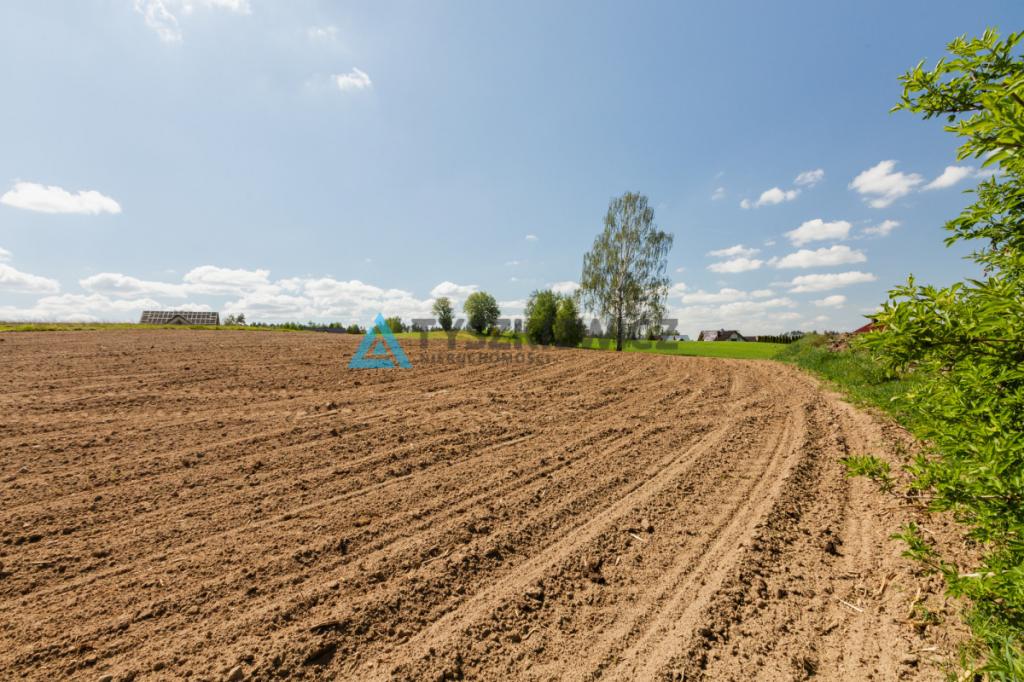 Działki pod zabudowę jednorodzinną - Półczno - zdjęcie 6