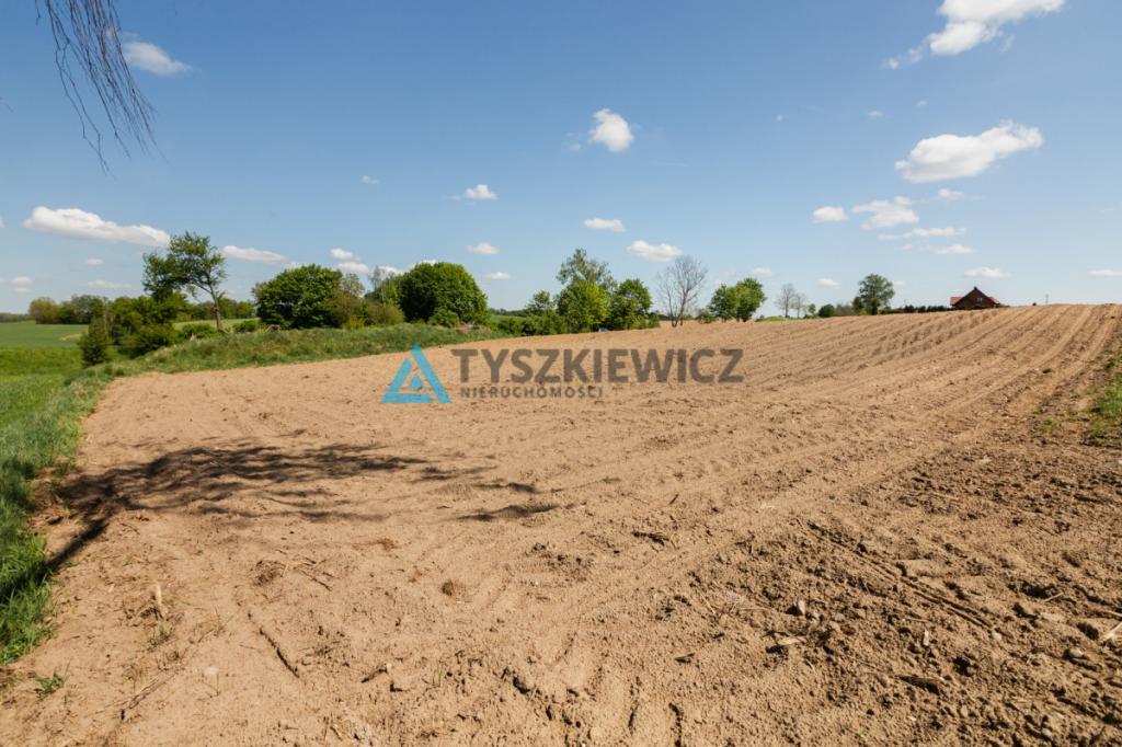 Działki pod zabudowę jednorodzinną - Półczno - zdjęcie 8