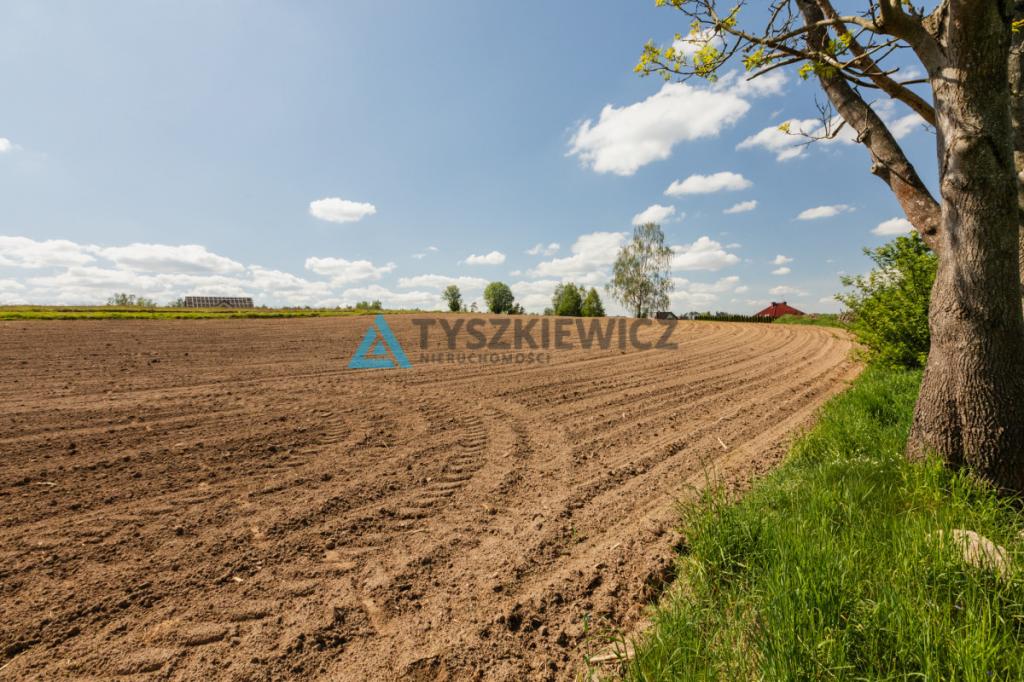 Działki pod zabudowę jednorodzinną - Półczno - zdjęcie 11
