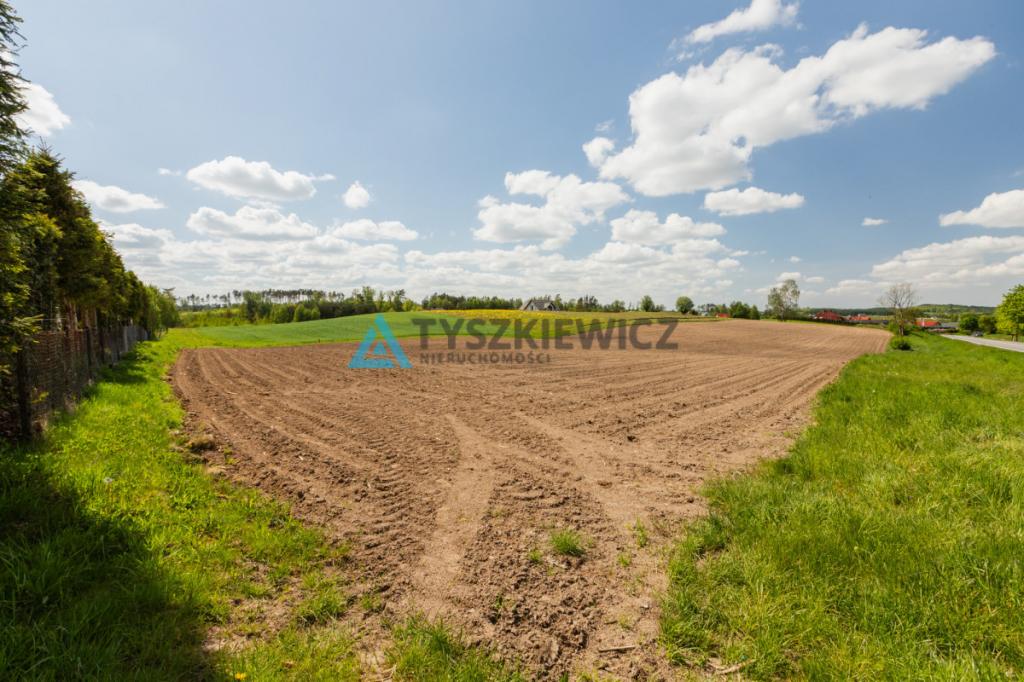 Działki pod zabudowę jednorodzinną - Półczno - zdjęcie 18