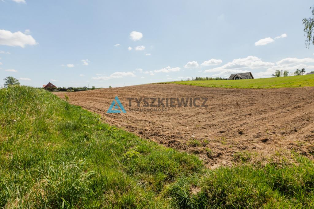 Działki pod zabudowę jednorodzinną - Półczno - zdjęcie 7