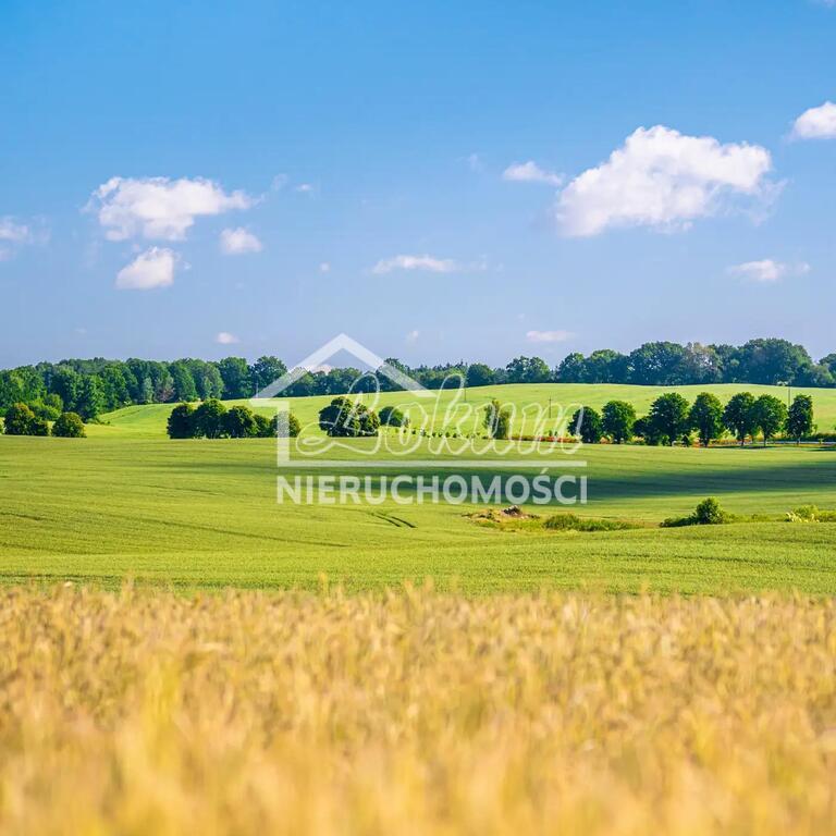 Działka budowlana 883 m², Przemocze - zdjęcie 2