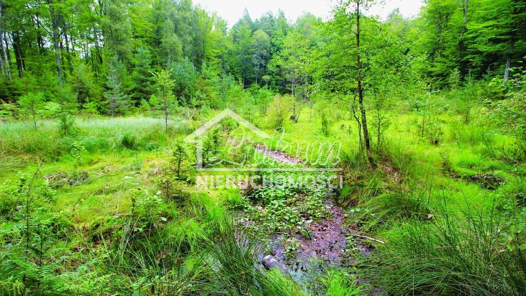 Działka budowlana 883 m², Przemocze - zdjęcie 3