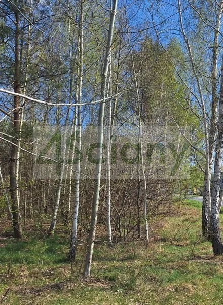 Działka budowlana 1436 m², Musuły - zdjęcie 3