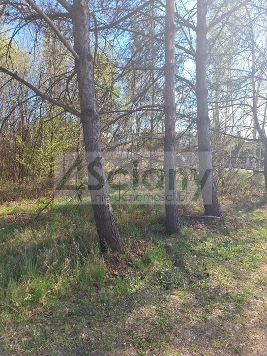 Działka budowlana 1436 m², Musuły - zdjęcie 2