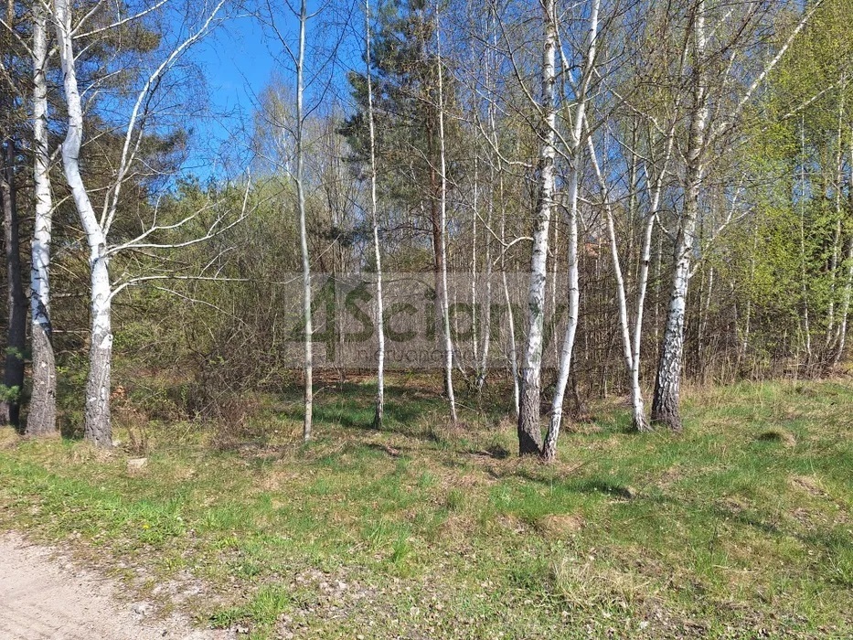 Działka budowlana 1436 m², Musuły - zdjęcie 5