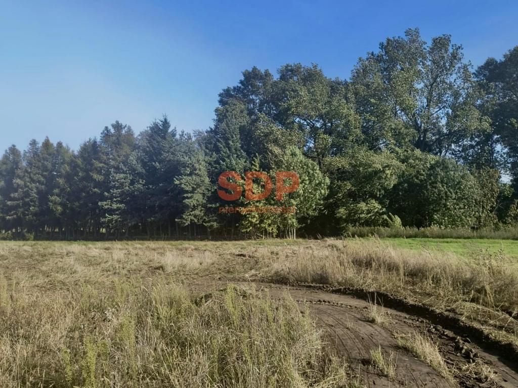 Działka budowlana 998 m², Pełczyce, Kwiatowa - zdjęcie 3
