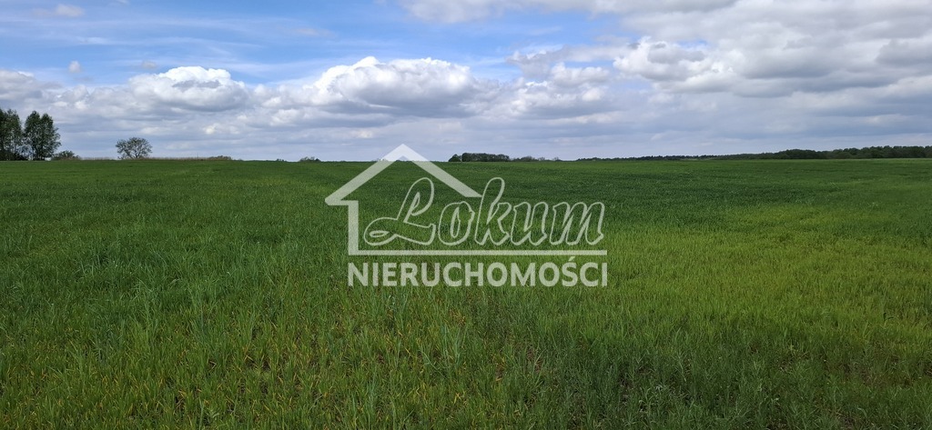 Działka budowlana 5,46&nbsp;ha, Bagna - zdjęcie 3