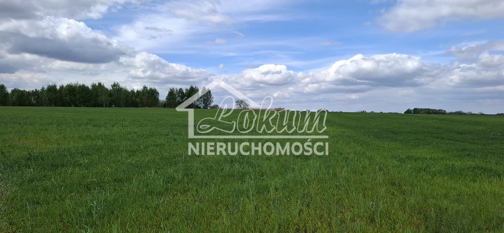 Działka budowlana 5,46&nbsp;ha, Bagna - zdjęcie 2
