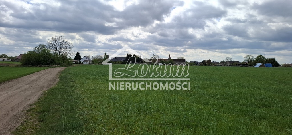 Działka budowlana 5,46&nbsp;ha, Bagna - zdjęcie 1